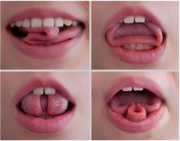 How To Be Perfect In Trixie Tongue Tricks