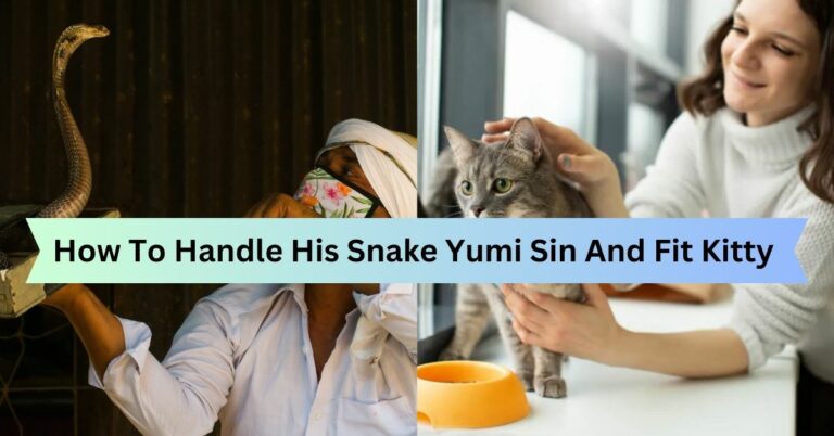How To Handle His Snake Yumi Sin And Fit Kitty – The Ultimate Pet’s Guide!